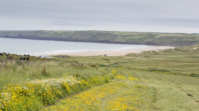 A coastal scene from Gupton Farm, Freshwater West, with green fields rolling down to the sea and distant hills in the background.